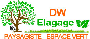 DW élagage à Ermont (95120) dans le Val d'Oise (95)